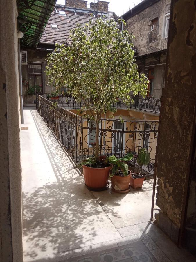 Jolie Apartment In Historical Center Budapest Exterior photo